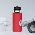 Stainless Steel water Bottle with a Straw Lid - Image 3