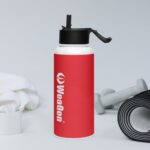 Stainless Steel water Bottle with a Straw Lid - Image 2