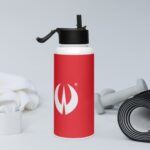 Stainless Steel water Bottle with a Straw Lid