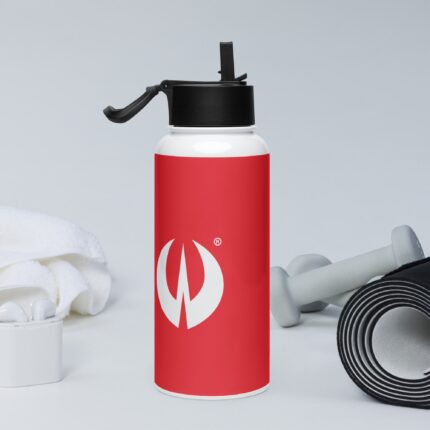 Stainless Steel water Bottle with a Straw Lid
