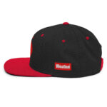 Snapback Cap - Image 4